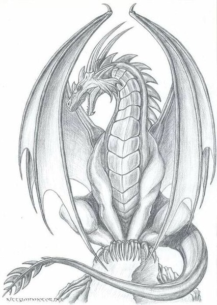 dessin de dragon