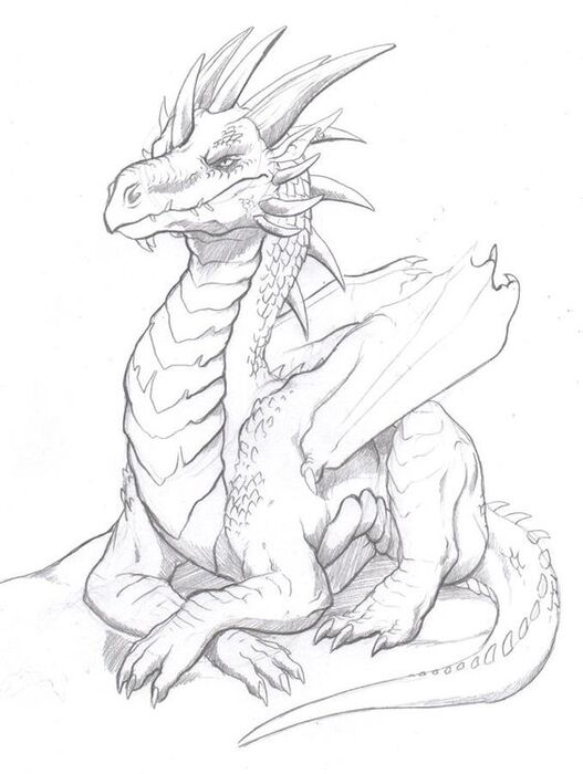 dessin de dragon