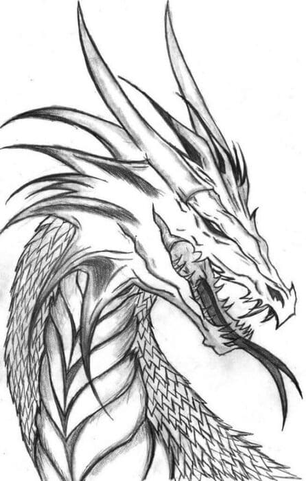 dessin de dragon