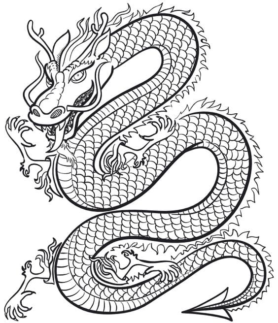 dessiner dragon chinois