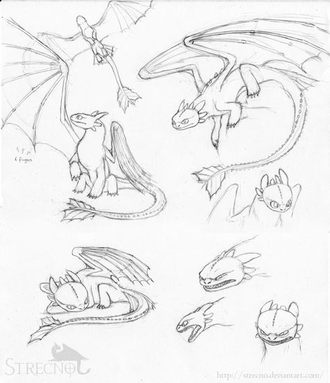 dessin Dragons de Dreamworks