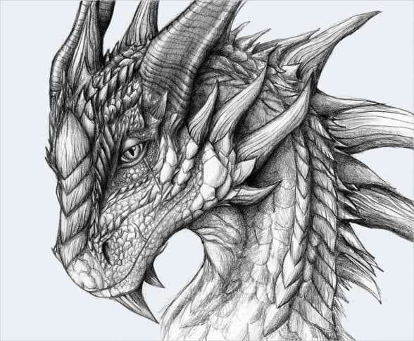 dessin de dragon